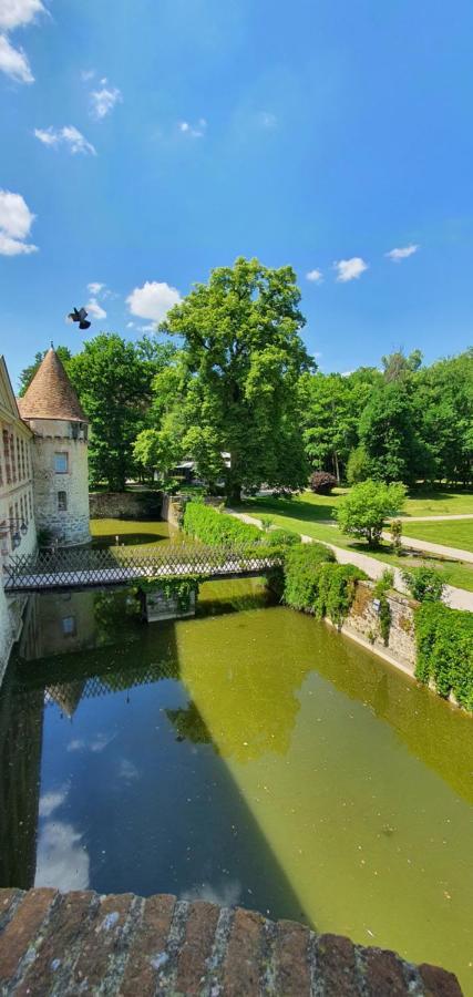 Chateau De La Cour Senlisse Zewnętrze zdjęcie